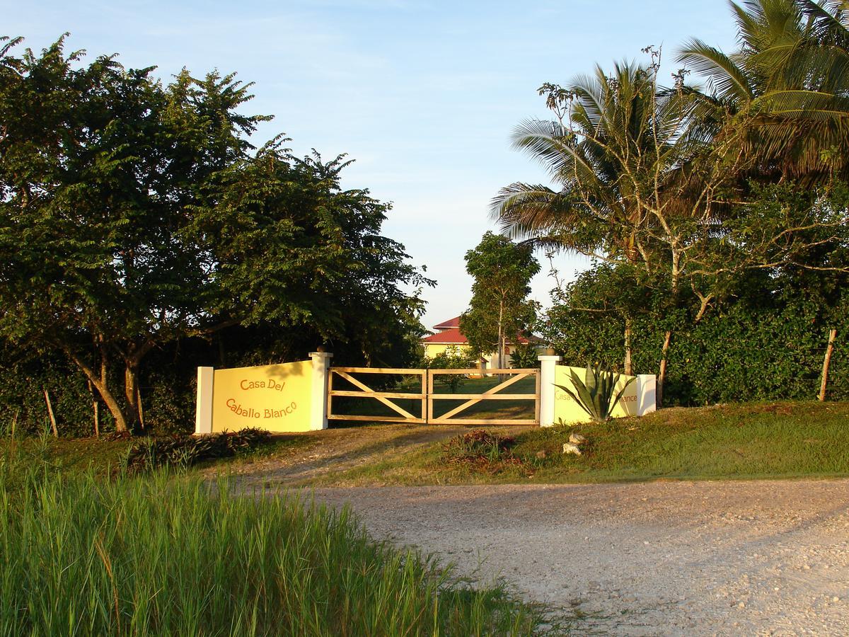 Casa Del Caballo Blanco Сан-Игнасио Экстерьер фото